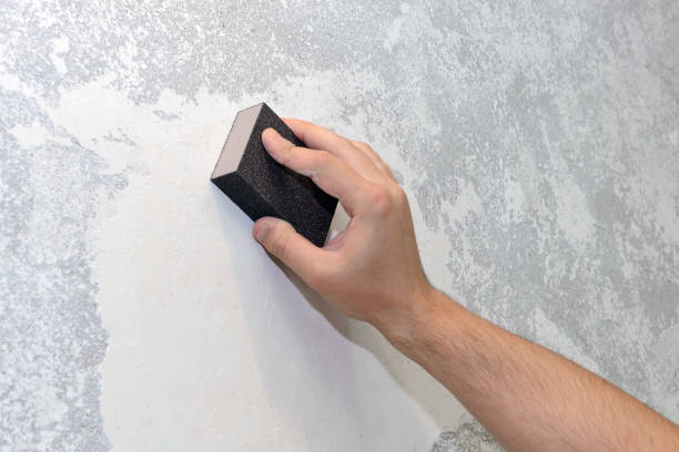 Best Mold Prevention Services  in Bryant, WA