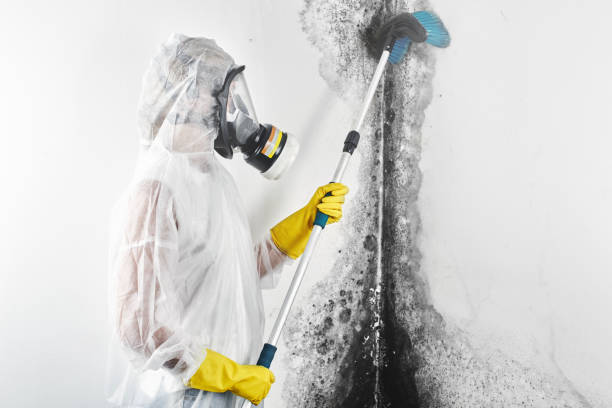 Best HVAC Mold Inspection and Cleaning  in Bryant, WA