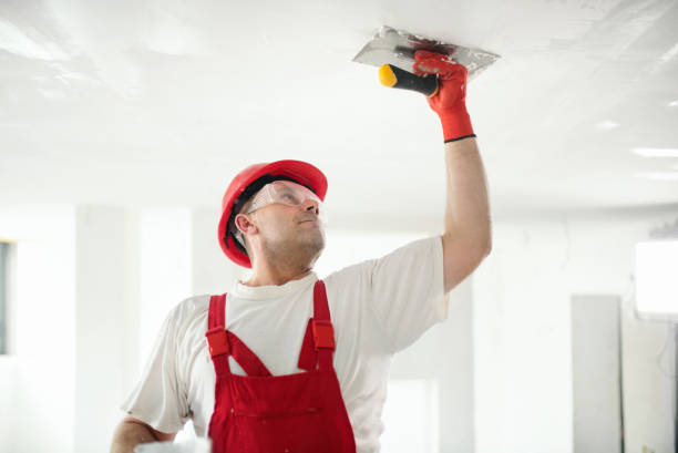 Best Forensic Mold Investigation  in Bryant, WA